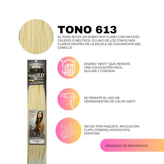 Platino Volume Silky - Ponytail Cabello Liso 22" / Tono 613