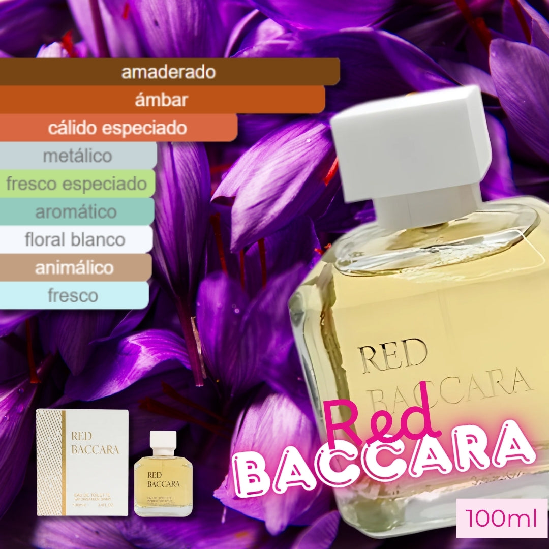 Set Catalina 5 Fragancias Dama EBC y FC